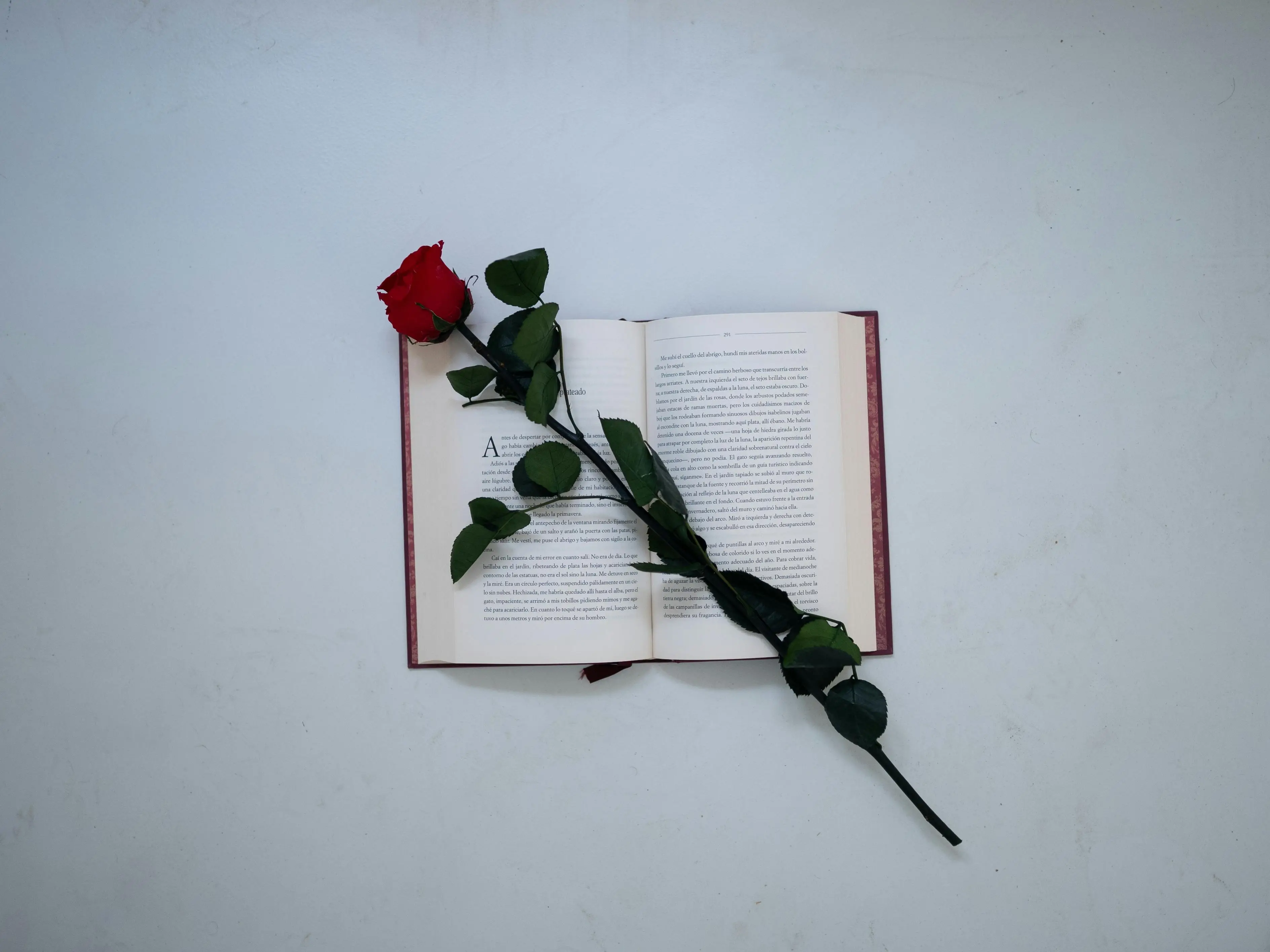 Saint-Valentin : Offrez un cadeau unique et chargé d'émotions avec Skribi